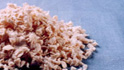 Celulósa quimica